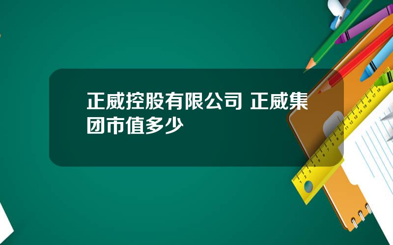 正威控股有限公司 正威集团市值多少